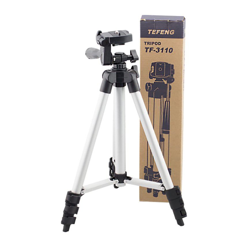 t3110.jpg